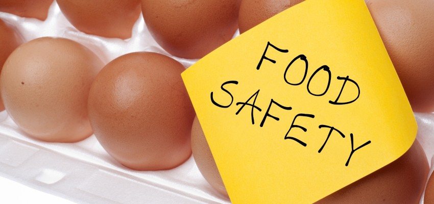 Image result for Food Safety Consultants