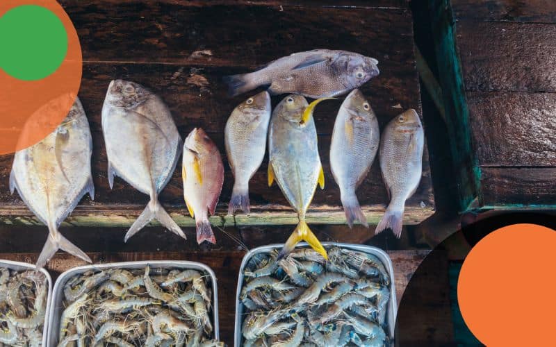 About Us 3 Seafood Products
